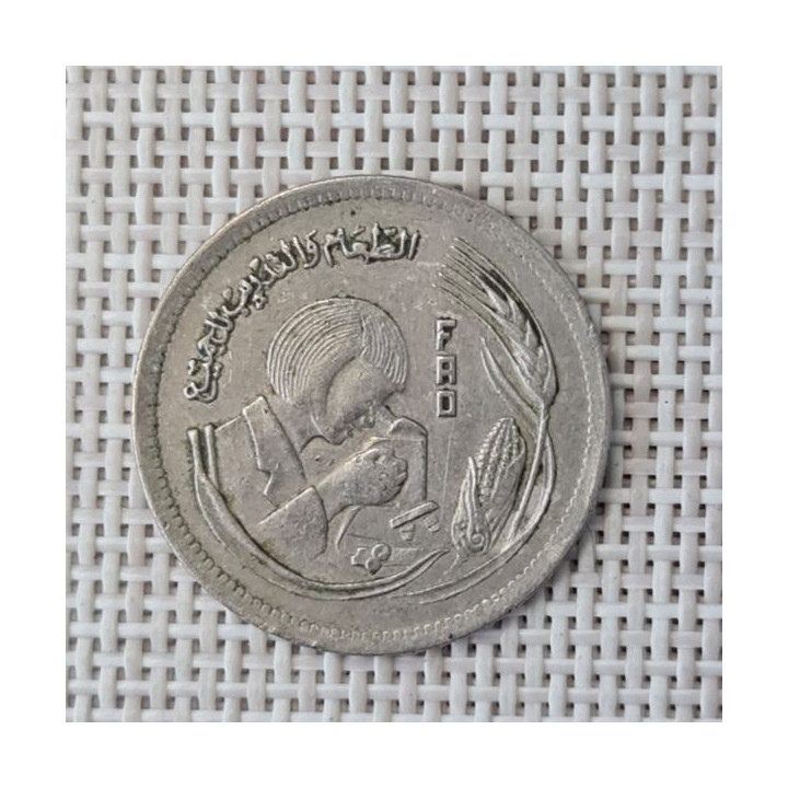 Egypt 5 Piastres (Qirsh) "FAO" KM-478 VF