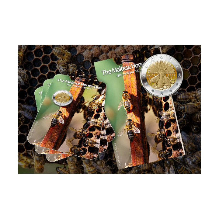 Malta 2 Euro 2024 "Honey Bee" BU (Coin Card)
