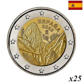 Spain 2 Euro 2022 "Garajonay" Roll