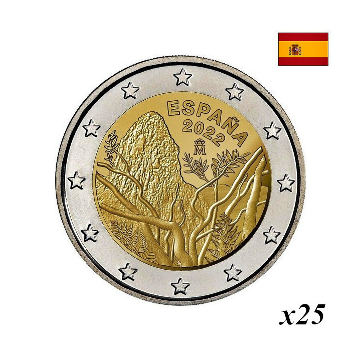 Spain 2 Euro 2022 "Garajonay" Roll