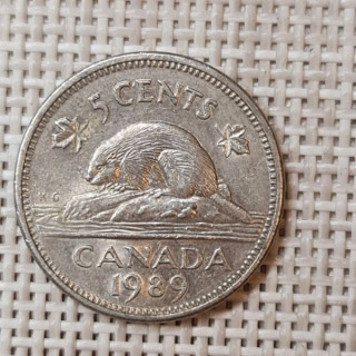 Canada 5 Cents 1989 KM-60.2a VF