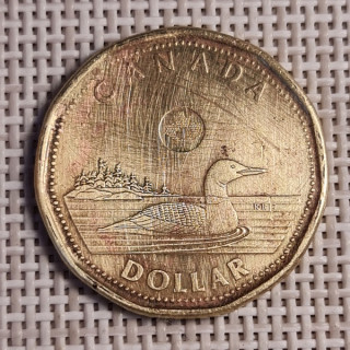 Canada 1 Dollar 2013 KM-1255 F
