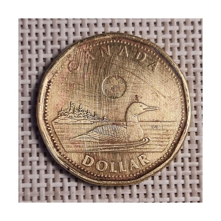 Canada 1 Dollar 2013 KM-1255 F